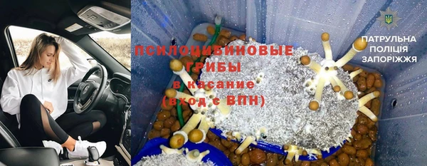 спиды Арсеньев