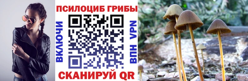 Псилоцибиновые грибы мухоморы  наркота  Ершов 